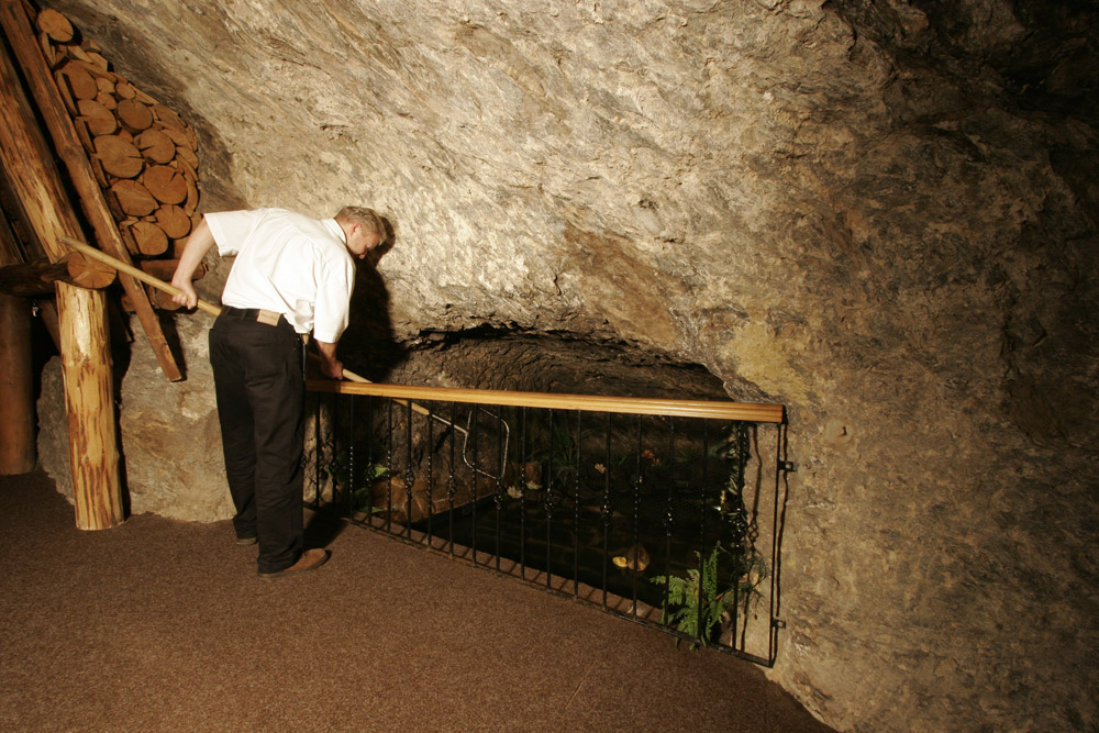 Forelle zum selber fangen